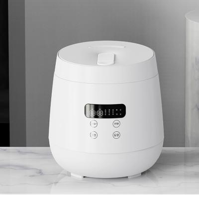 China 2022 Portable Mini Humidifier Oem Odm Nano Humidifier Sterilization Humidifier New Product Amazon High Temperature Success Humidifier Ideas for sale