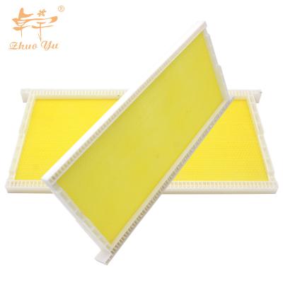 China 2021 Beekeeping Beekeeping Sight Sheet Bee Comb Base Plastic Bee Frame With Plastic Sheet for sale