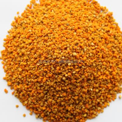 China editable purchase sunflower natural sweet bee pollen for fodder block for sale