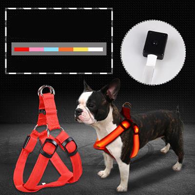 China Night Lights Safety Led Flashing Light Waterproof Leather Adjustable Harness Poly Led Dog Cloth Dog Vest Chest Belt Harness for sale