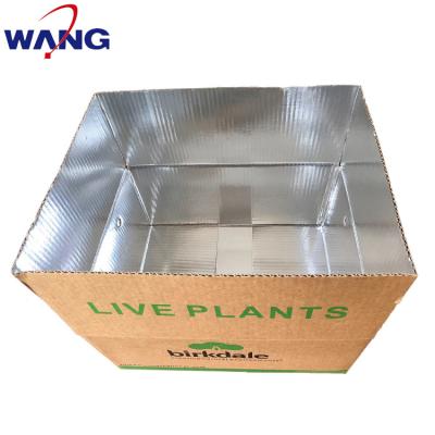 China Recycled Materials Point Of Sale Waterproof Extra Tough Insulated Cool Aluminum Foil Cardboard Packing Box for sale