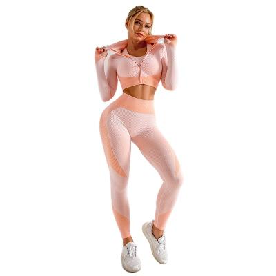 China Workout Breathable Comfortable Seamless Sports For Women Sportswear Yoga Pants Yoga Vest Yoga Jacket Set for sale