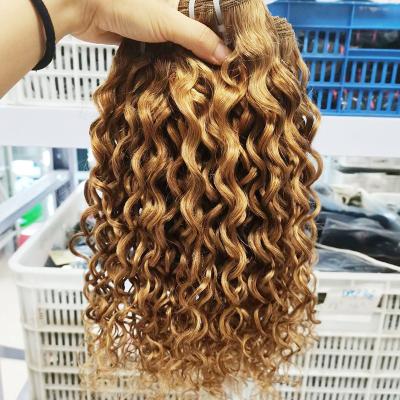 China 10A #27 Water Wave Water Wave Bundles And 4*4 Lace Closure Hair Extension High Quality Real Wig for sale