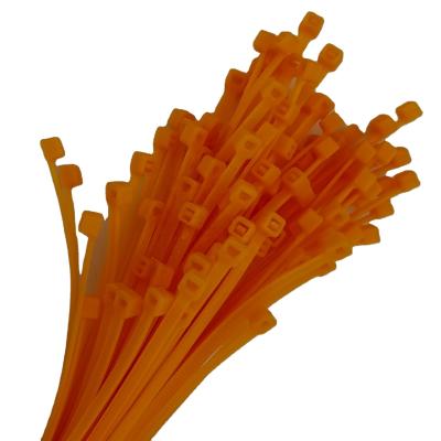 China JAGASL Cold-resistant 66 price 4*250 plastic self-locking nylon cable ties for sale