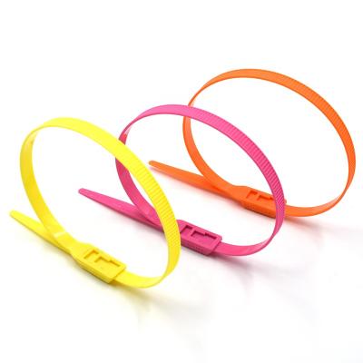 China Wholesale Cheap High Quality Plastic Naughty Playground Strong Kids JAGASL Wires 66 Nylon Containment Cable Tie for sale