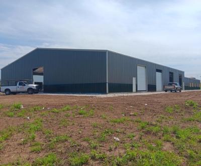 China Q235/Q355 Light Steel Frame Metallic Steel Warehouse for Large-Scale Storage Need for sale