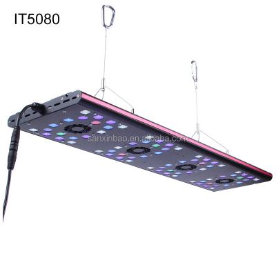 China Semigrow AquaOcean IT5080 aquarium led lighting evergrow led aquarium light for SPS 16