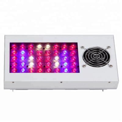 China 2018 Evergrow 140W-840W SAGA Aluminum Series Led Grow Lighting Hydroponic Led Plant Grow Light for sale