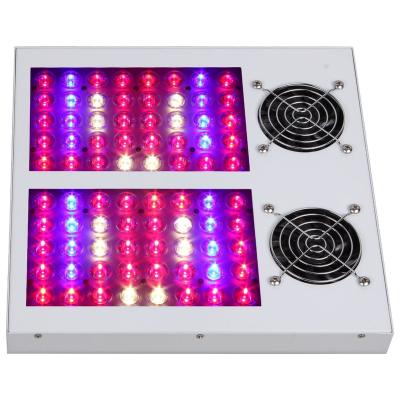 China Newest greenhouse hydroponics EverGrow SAGA 300w full spectrum growtent LED grow lamp for sale