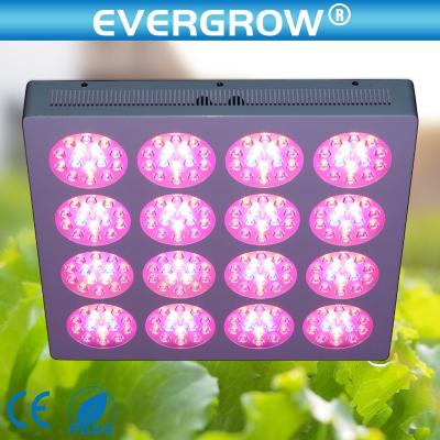 China 2015 hot sale nova bridgelux epistar fruit vegetable greenhouse flower growing lights led to grow light for hydroponics for sale