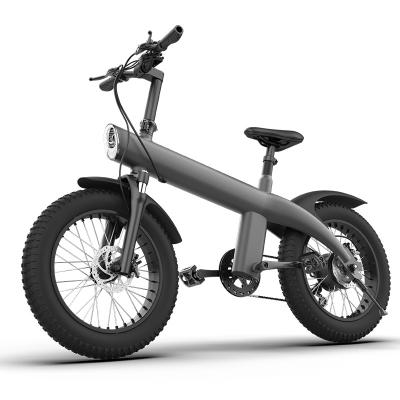 China New Foldable Pole City Electric Bike 750W 250W Motor 20 Inch Fat Tire IPX4 Protection Electric Bicycle for sale