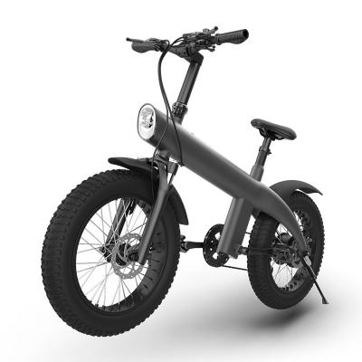 China Foldable Pole City Electric Bike 750W 250W Motor Battery 20 Inch Fat Tire IPX4 Foldable Electric Bicycle for sale