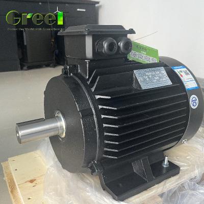 China IP54 Rated 750W-5MW Permanent Magnet Motor for sale