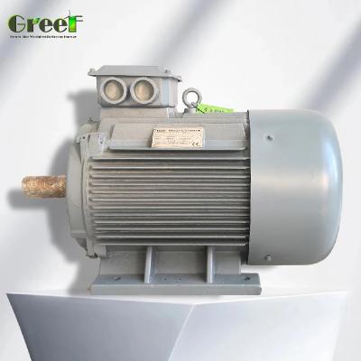 China Permanent Magnet Motor IP54 3Phase Copper Winding 6 Poles Synchronous for sale