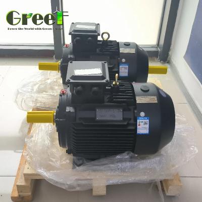 China 1500 Rpm PM Motors With 6 Poles Generator Synchronous Type Y Winding for sale