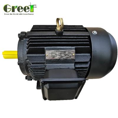 China 50Hz Permanent Magnet 3 Phase AC Synchronous Motor With Rated Power 750W-5MW for sale