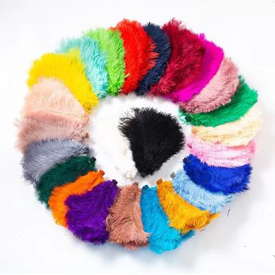 China Shrink-Resistant High Quality 30-45cm Male the Bulk White Cheap Ostrich Plumes Feathers Drabs Long Ostrich Feather for sale