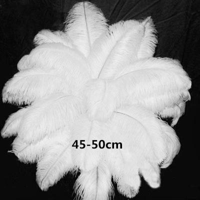 China Sustainable 35-40cm ostrich feathers drab washed pattern white and dyed colored feathers plume for sale