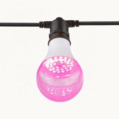 China Seed Starting Lights HUACHANG E26/E27 Grow Led Fill Light Lamp Full Spectrum Bulb For Plant Growth for sale