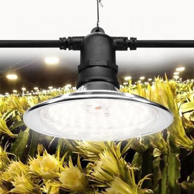 China Seed Starting Lamps Full Spectrum Led Plant Grow Light Grow Lights For Dragon Fruit for sale