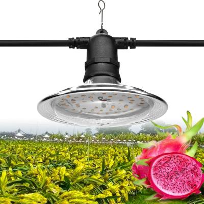 China Seed Starting Lamp Plant Led Plant Grow Light Grow Lights for sale