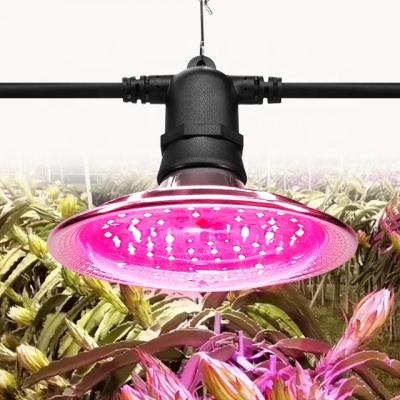 China Seed Starting New Plants For Indoor Plants Full Spectrum Plant Growing Led Bulbs Grow Lights for sale