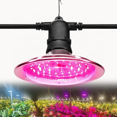 China Seed starting lamp plant full spectrum | E27 Plant Light Bulb Led Grow Lights for sale