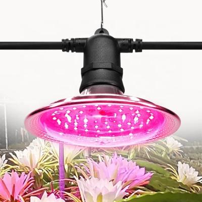 China Seed Starting Plant Pitaya Fruit Bulb Led Plant Growth Fill Light Lamp Grow Lights for sale