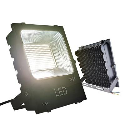 China Custom Plant Lawn IP66 Outdoor Projection LED Plant Growth Light 20W 50W 100W Plant Growth Light 20W 50W 100W for sale