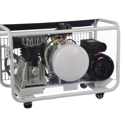 China Lubricated 3 Hp Portable High Quality Double Cylinder Engine Belt Driven Air Compressor With 50 L Tank for sale