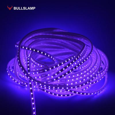 China Theme park rgb outdoor waterproof cob flexible linear helmet 10m smd led strip lights 2835 color 5050 lighting strip set 12V 24V 220V for sale