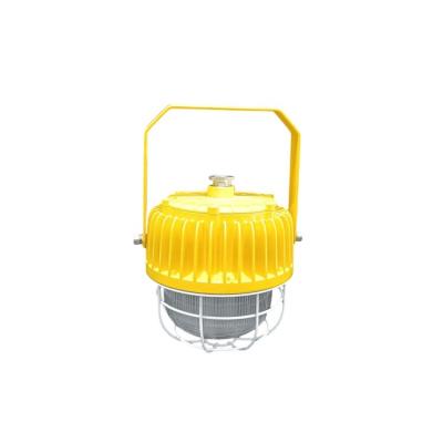 China High Quality Eco-friendly Waterproof High Brightness 30W 50W 80W 100W 120W 150Lm/W LED Explosion Proof Aluminum Light for sale