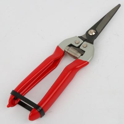 China Anti-Slip Handle Carbon Steel Garden Shears Professional Fruit Shears Garden Tool Scissors for sale