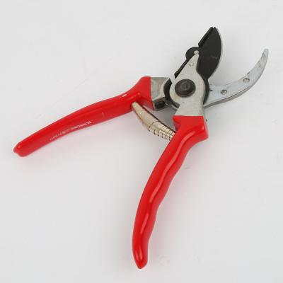 China Anti-Slip Handle Shears Garden Pruning Fruit Branches Flower Trimming Gardening Scissors Flowering Fruit Trees Flower Tools Green Garden Tools for sale