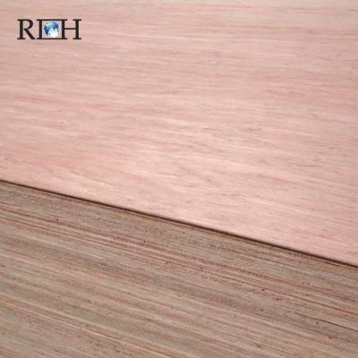 China / Professional Hot Sale Plywood Waterproof Marine Plywood for sale