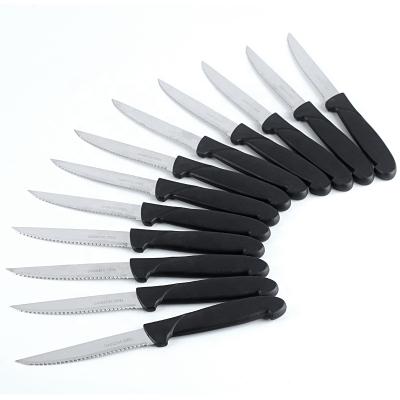 China Kitchen Viable Basic Steak Knife Set 12 Pieces Plastic Steak Knife Blade Stainless Steel Handle With Black Handle for sale