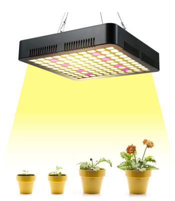 China Seed Starting Popular 100W Full Spectrum Grow Plant Grow Light 600W Greenhouse High Efficiency Extra Lighting Light Fixture for sale