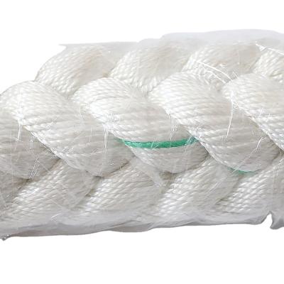 China Mooring Rope Factory Price 12 Strand Polyamide Fiber Braided Rope , Nylon Rope for sale