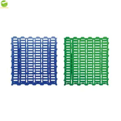 China Easily Assembled Plastic Slat Flooring Used For Goat Farm Plastic Slat Flooring For Herding Goat Sheep for sale