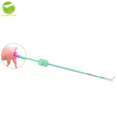 China Plastic Pig Chamber Insemination Intrauterine Catheter for Pig Tail Catheter for sale