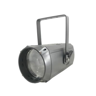 China Professional Custom Hotel Zoom 300W COB Par Light For Stage for sale