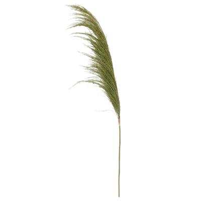 China Long Lasting Natural Wholesale 110cm Stem Everlasting Flower Preserved Dry Pulrush Pampas Grass For Home Decor Gift for sale