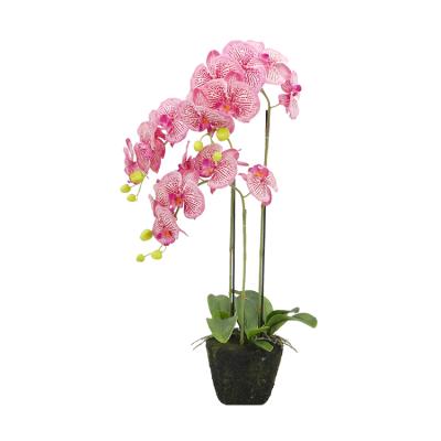 China Wholesale Indor Decoration Artificial Flowers Latex Orchid Bonsai Decorations For Home for sale