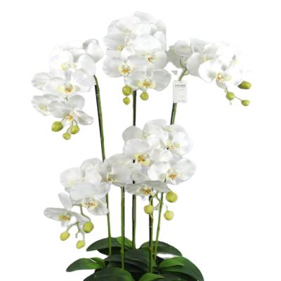 China Indor Decoration Best Selling Tall Artificial Orchid Flower Bonsai For Indoor Home Decoration for sale