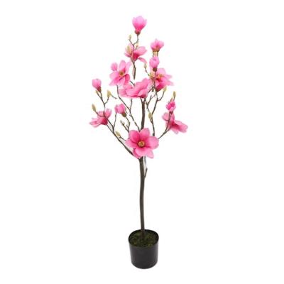 China Tree the European wedding magnolia flowers feeling flowers indoor decoration real magnolia trees for sale