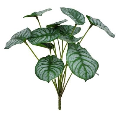 China Hot Selling Artificial Decoration Amazon Foliage Green Leaves Plants Windowsill Decorative Light Decoration for sale