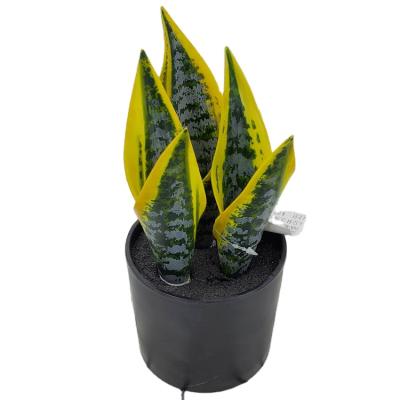 China Orchid Artificial Bonsai Decoration Plant Mini Sansevieria Trifasciata Prain Tiger Artificial Garden Decor for sale