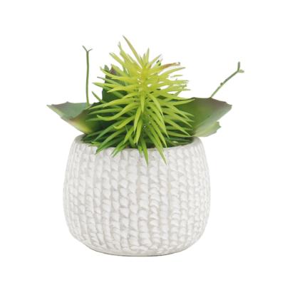 China Indor Mini Artificial Potted Succulents Picks Decoration With Pot Ceramic Faux Succulent Assortment In Different Type Different Size Succulents for sale