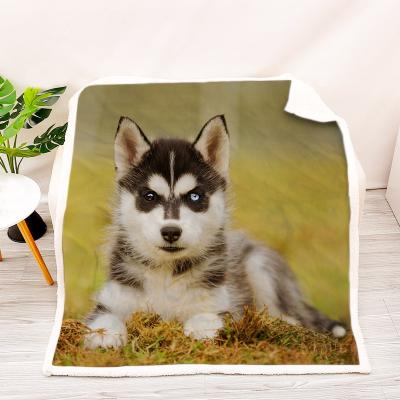 China 2021 New High Quality Custom Anti-Pull Blanket Printing Crystal Fleece Blanket Husky Lambskin Cashmere Thick Dog Design for sale