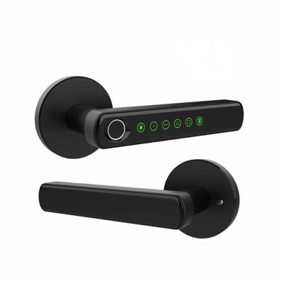 China 2021 New Arrival Zinc Alloy Hardware Handle Fingerprint Electronic Smart Door Lock for sale